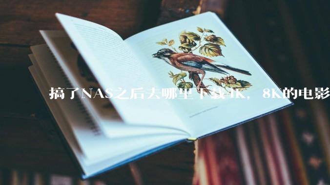 搞了NAS之后去哪里下载4K，8K的电影？
