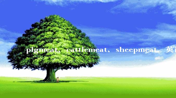 pigmeat、cattlemeat、sheepmeat,英语国家的人能看懂这些中式单词的意思吗?