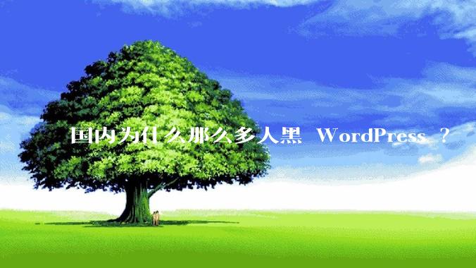 国内为什么那么多人黑 WordPress ？